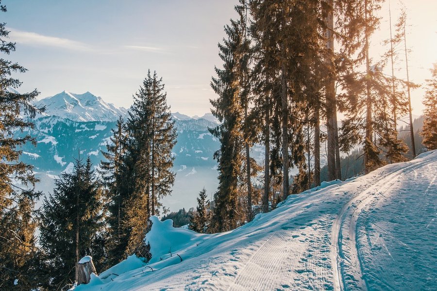 Bericht "Dein Winter. Dein Sport." -Summit am 25. Juli