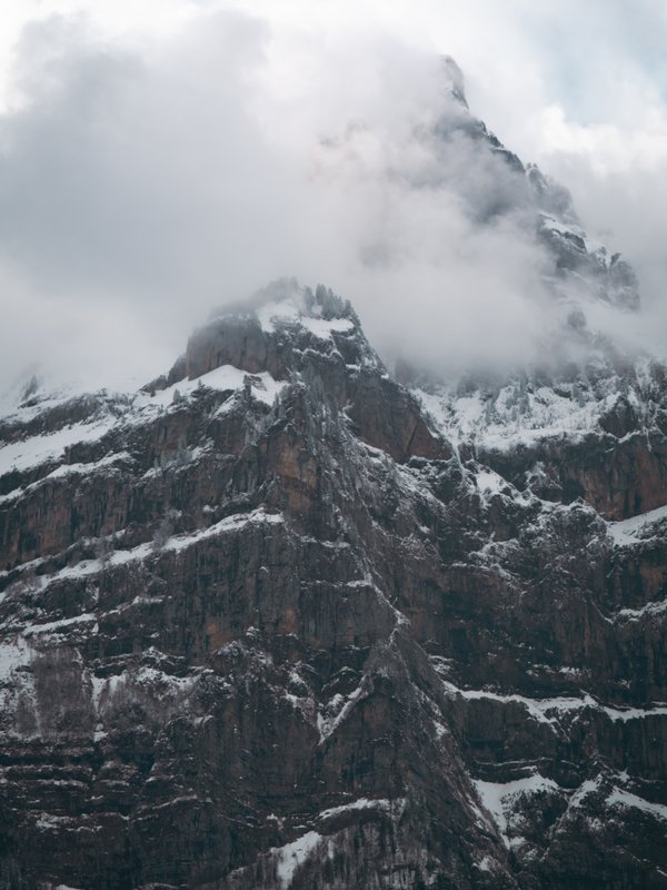 pexels-triemli-36882618.jpg