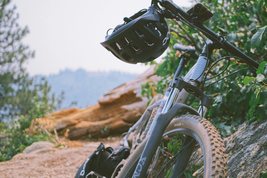 Trendsport Mountainbike: Naturerlebnis und Nachhaltigkeit im Einklang